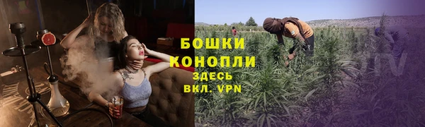 винт Пересвет