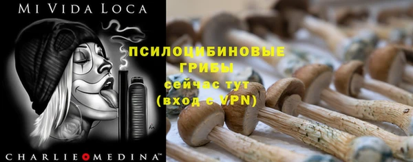 мяу мяу мука Переславль-Залесский