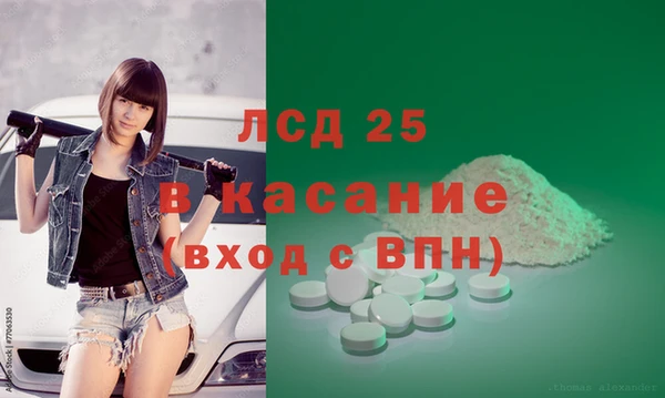винт Пересвет