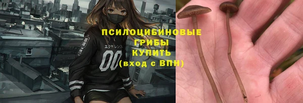 меф Пестово