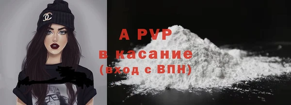 винт Пересвет