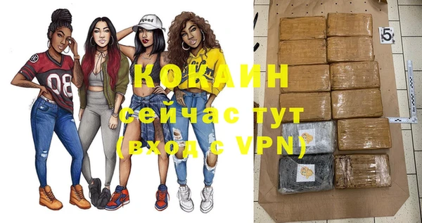 винт Пересвет