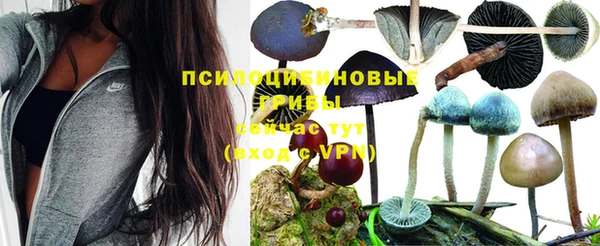 меф Пестово