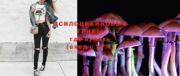 винт Пересвет