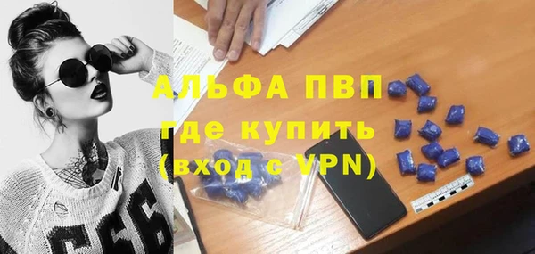 винт Пересвет