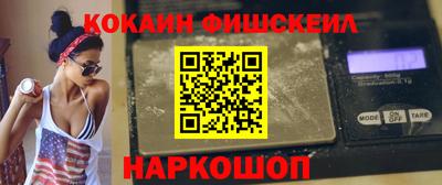 стаф Гатчина