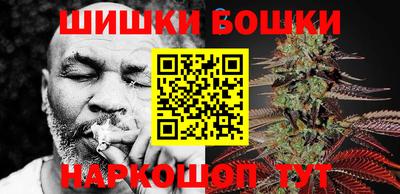 стаф Гатчина