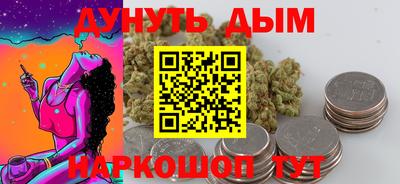 стаф Гатчина