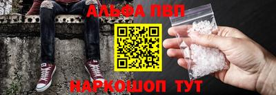 стаф Гатчина