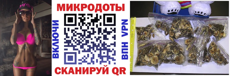 Галлюциногенные грибы Magic Shrooms  купить закладку  Грязи 