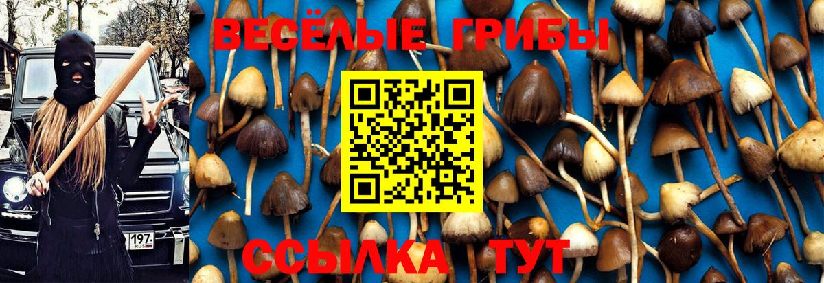 наркотики  Вход с VPN  Грязи  Галлюциногенные грибы GOLDEN TEACHER 