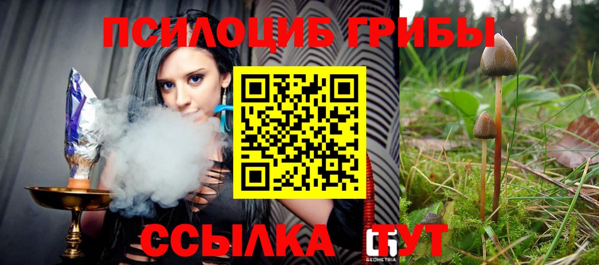 Псилоцибиновые грибы Magic Shrooms  Грязи 